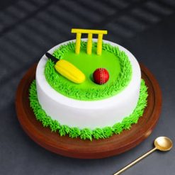Cricket Theme Cake Pitch Perfect Celebration