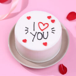Chocolate Heart Bento Cake